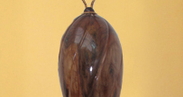 Gallery Item 5